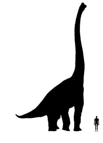 Brachiosaurus size Brachiosaurus size comparison image