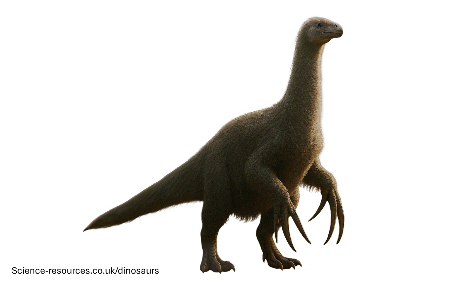 compsognathus image